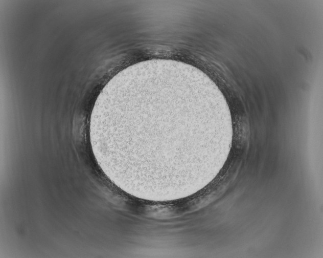 X0000111430511200908241124