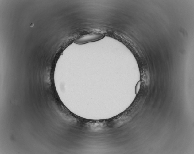 X0000111430512200908241124