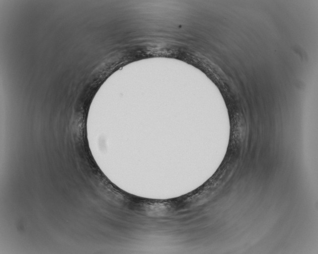X0000111430513200908241124