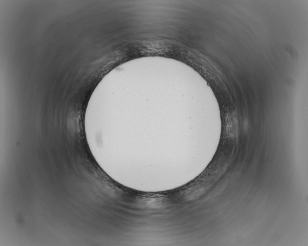 X0000111430514200908241124
