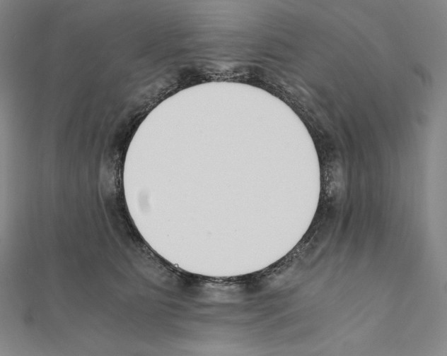 X0000111430515200908241124
