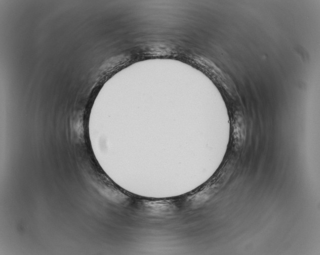 X0000111430516200908241124