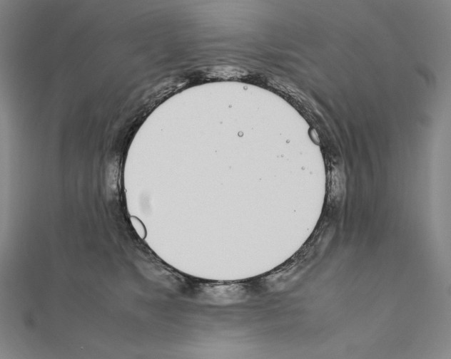 X0000111430517200908241124