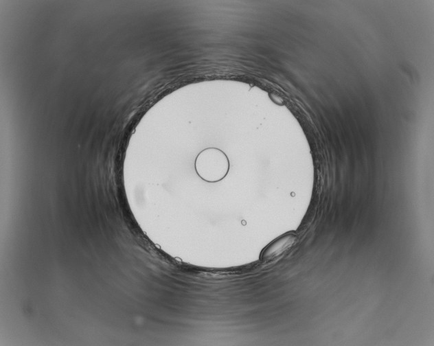 X0000111430520200908241124