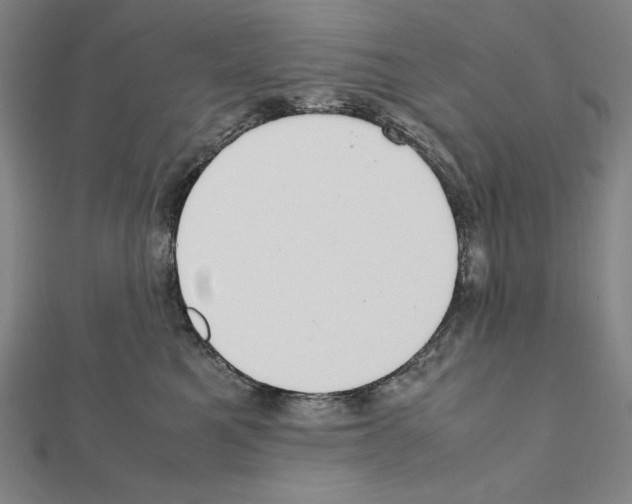 X0000111430521200908241124