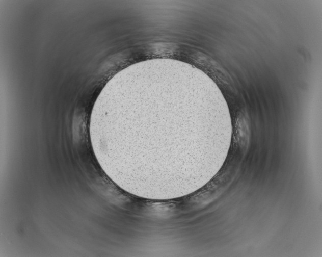 X0000111430522200908241124