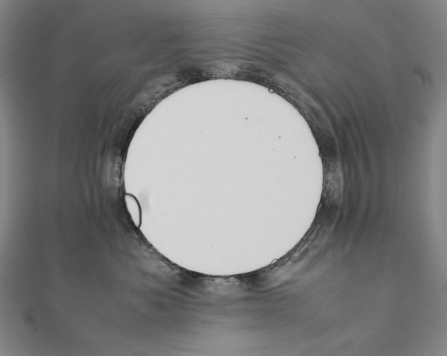 X0000111430525200908241124