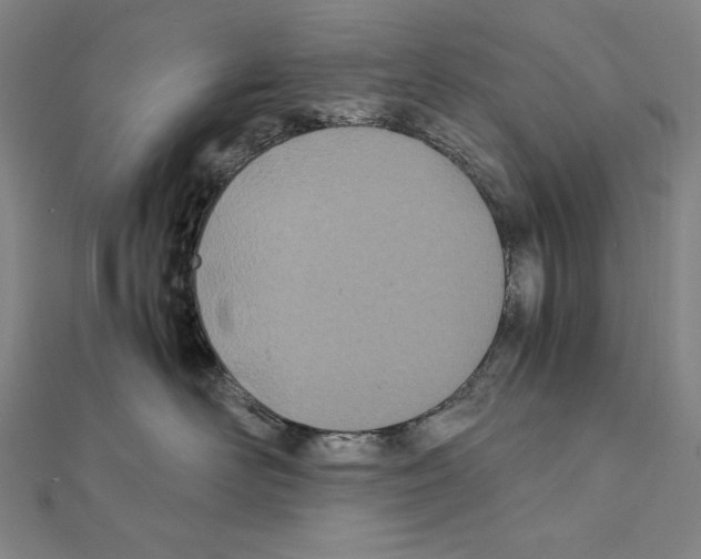 X0000111430526200908241124