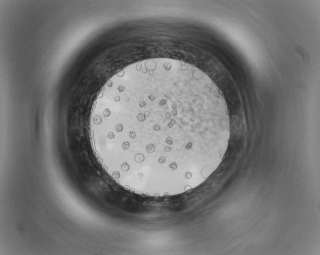 X0000111430527200908241124