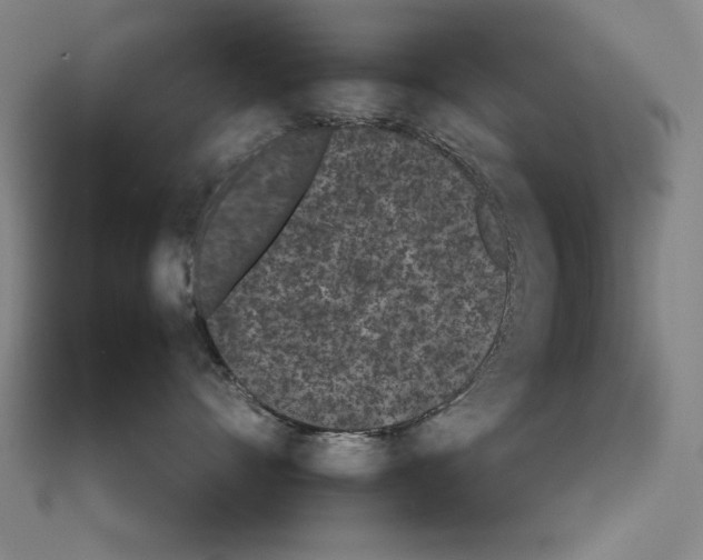 X0000111430528200908241124