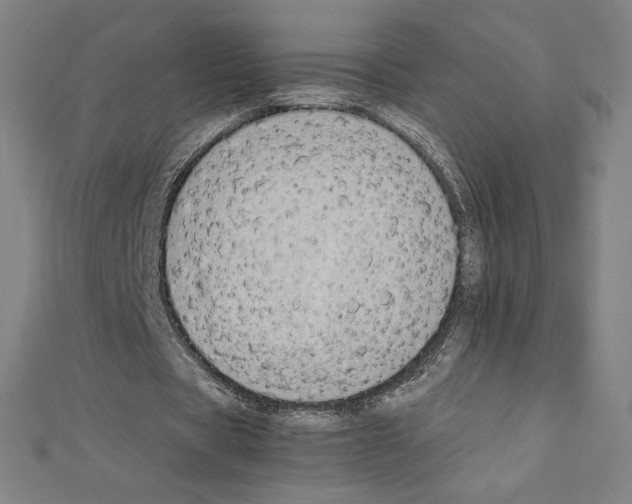 X0000111430529200908241123