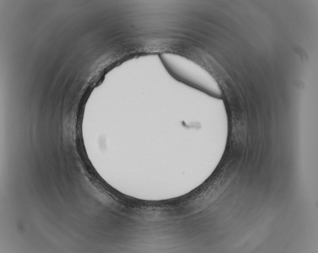 X0000111430530200908241123