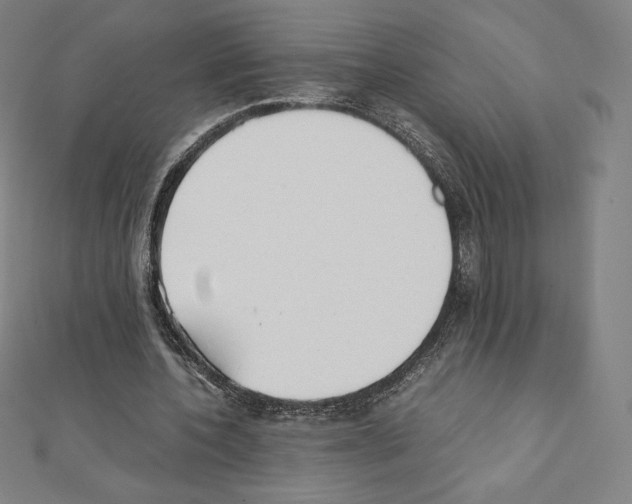 X0000111430532200908241123