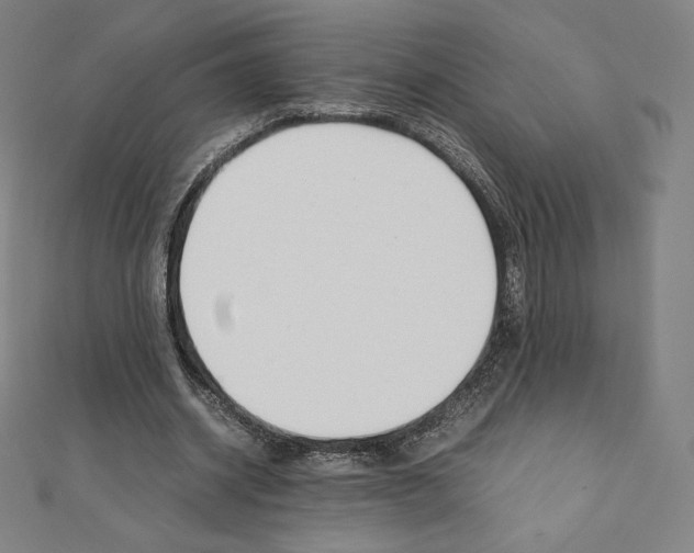 X0000111430534200908241123