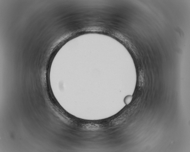 X0000111430535200908241123