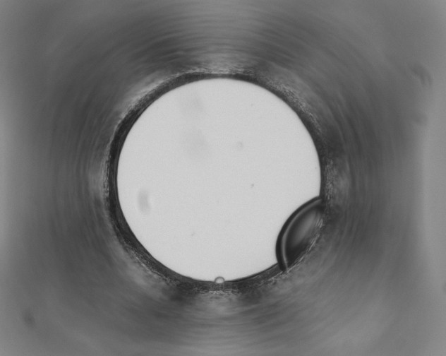 X0000111430536200908241123