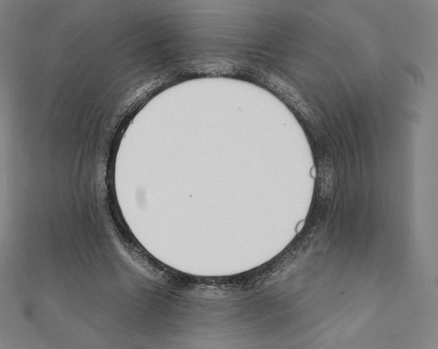 X0000111430538200908241123