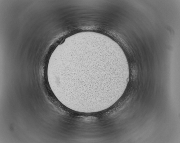X0000111430539200908241123