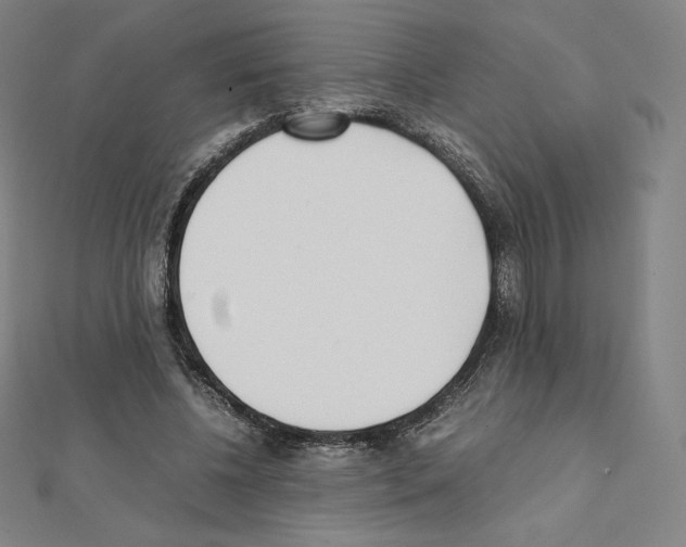 X0000111430540200908241123