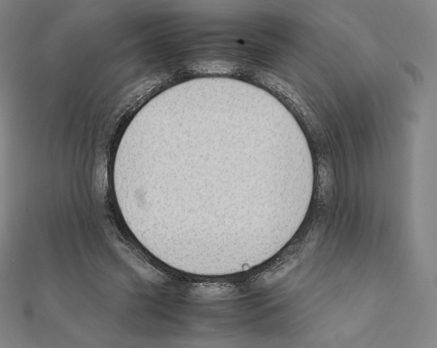 X0000111430541200908241123