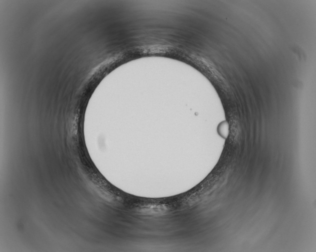 X0000111430543200908241123