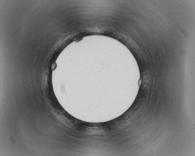 X0000111430544200908241123
