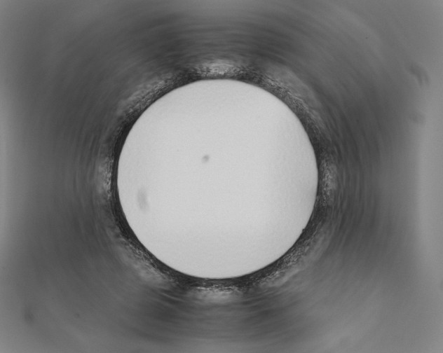 X0000111430545200908241123