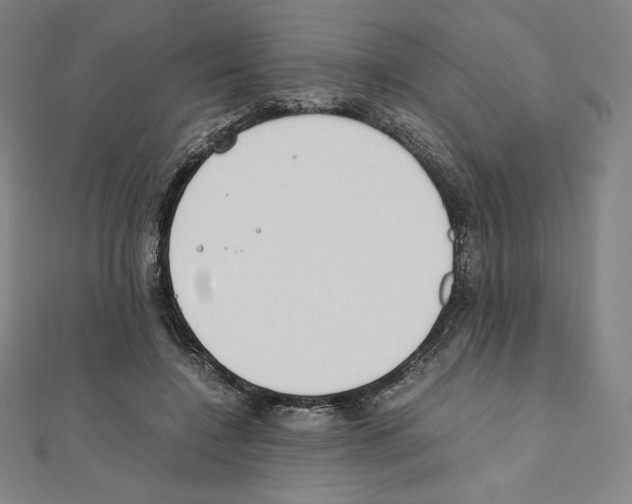 X0000111430548200908241123