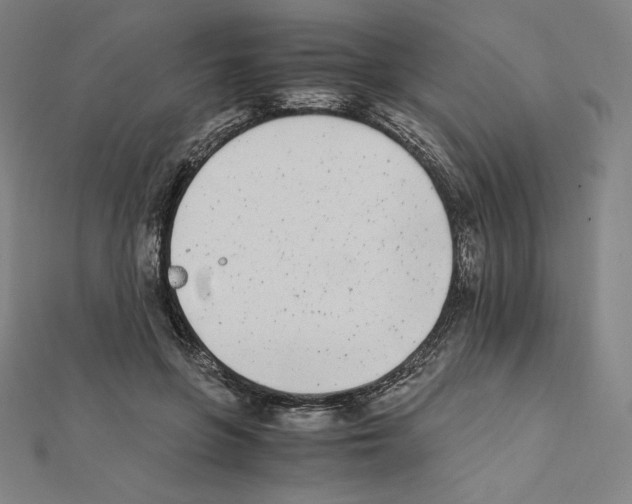 X0000111430551200908241123