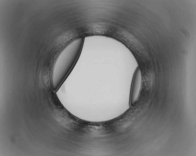 X0000111430552200908241123