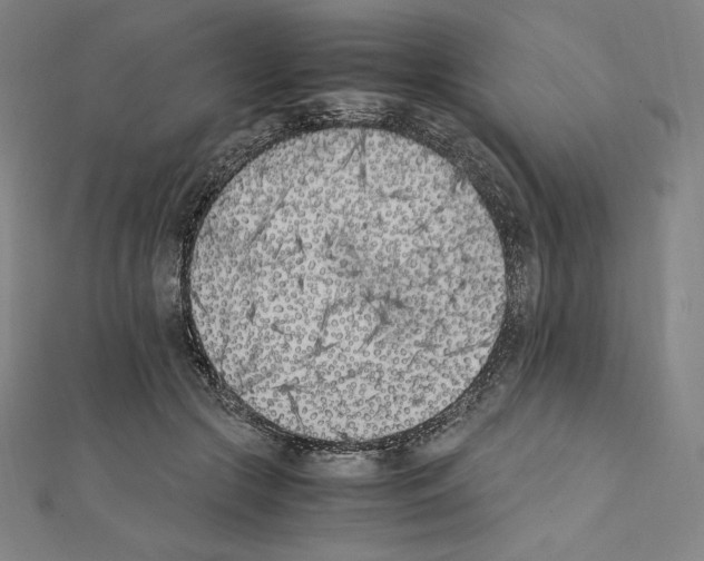 X0000111430553200908241123