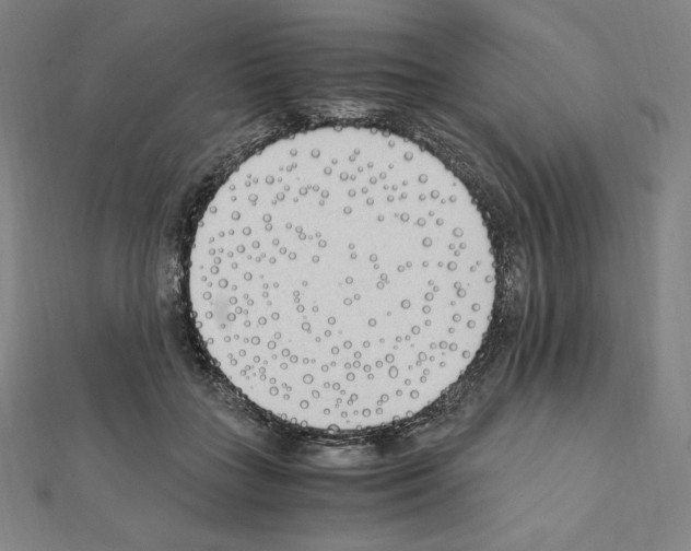 X0000111430555200908241123