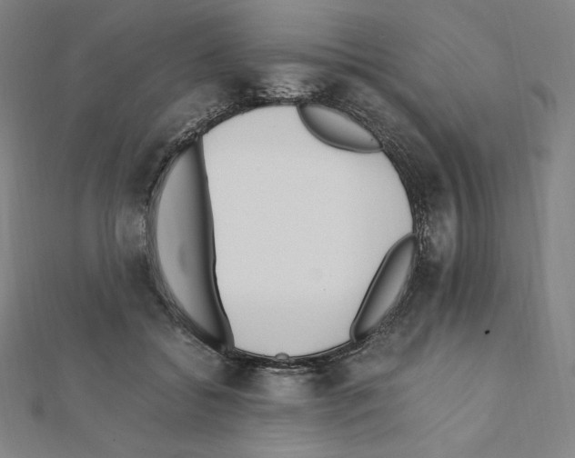 X0000111430556200908241123