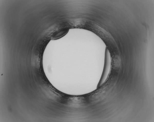 X0000111430558200908241123