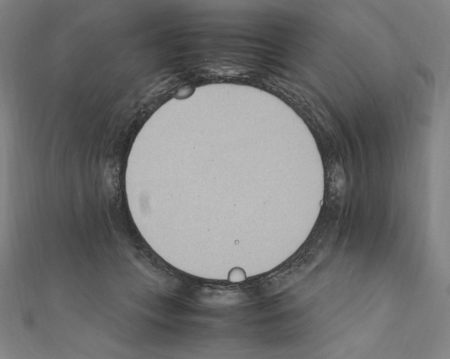 X0000111430559200908241123