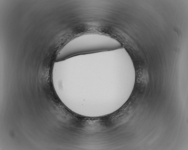 X0000111430560200908241123