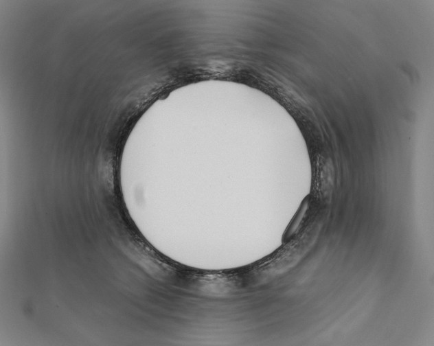 X0000111430562200908241123