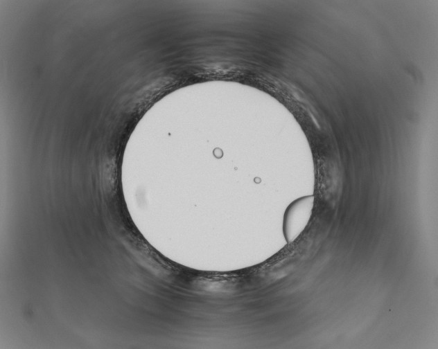X0000111430563200908241123