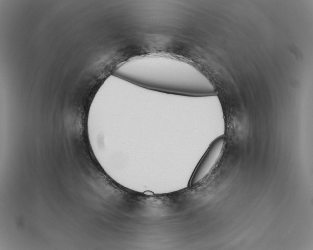 X0000111430566200908241124