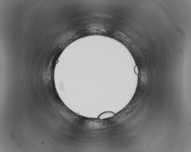 X0000111430567200908241124
