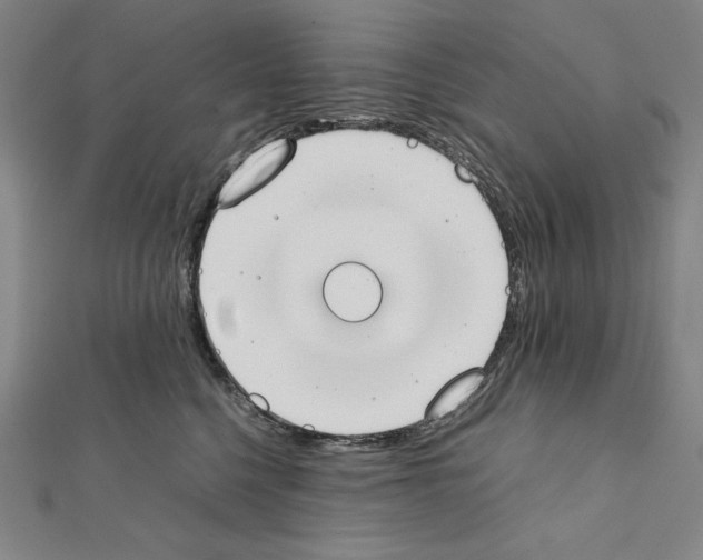 X0000111430568200908241124