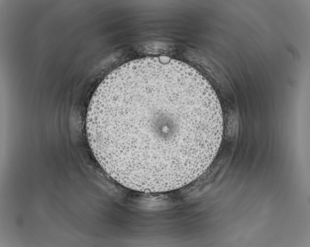 X0000111430569200908241124