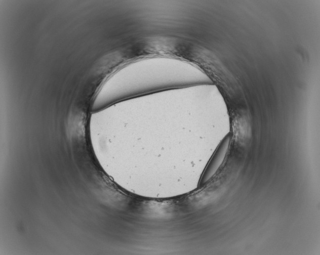 X0000111430570200908241124