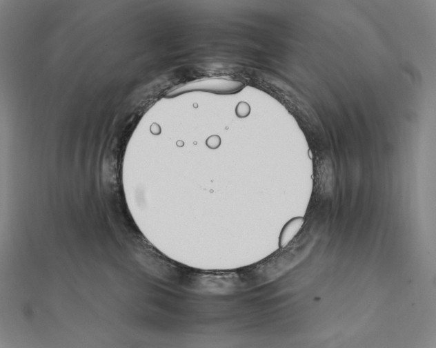 X0000111430571200908241124