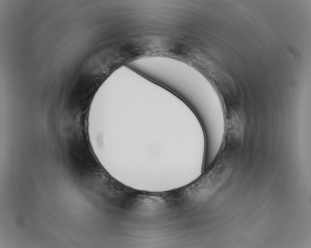 X0000111430572200908241124