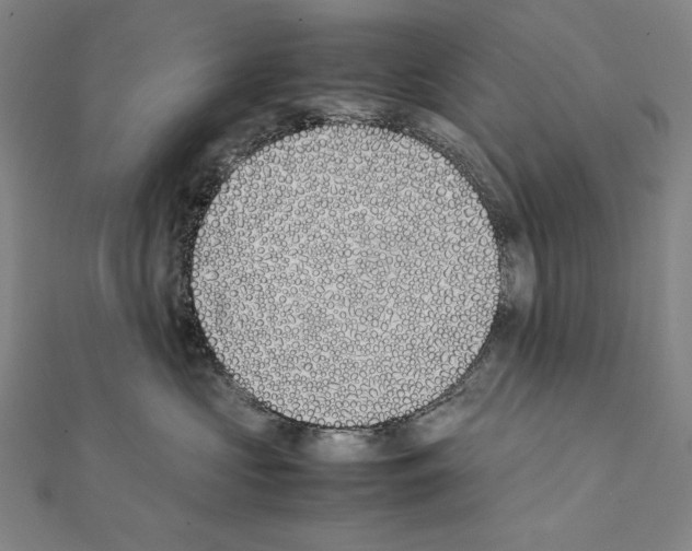 X0000111430573200908241124
