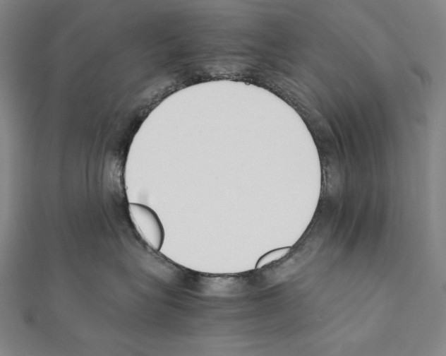 X0000111430575200908241124