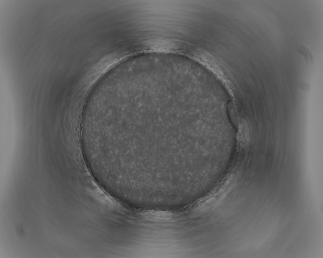 X0000111430577200908241123