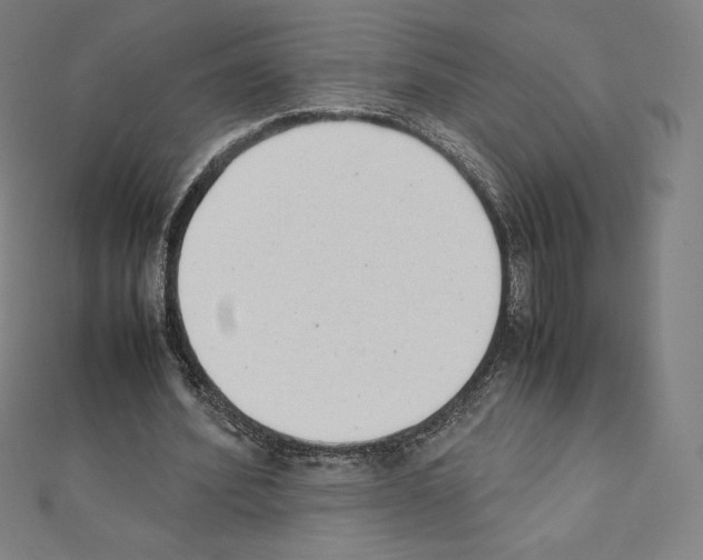 X0000111430580200908241123