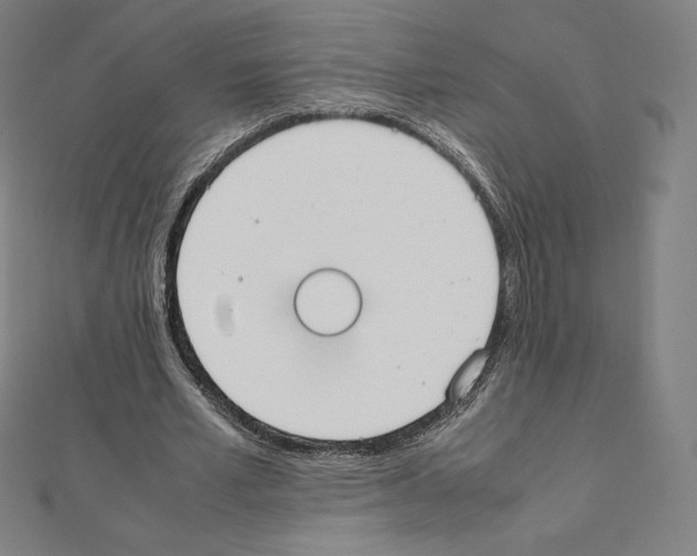 X0000111430581200908241123